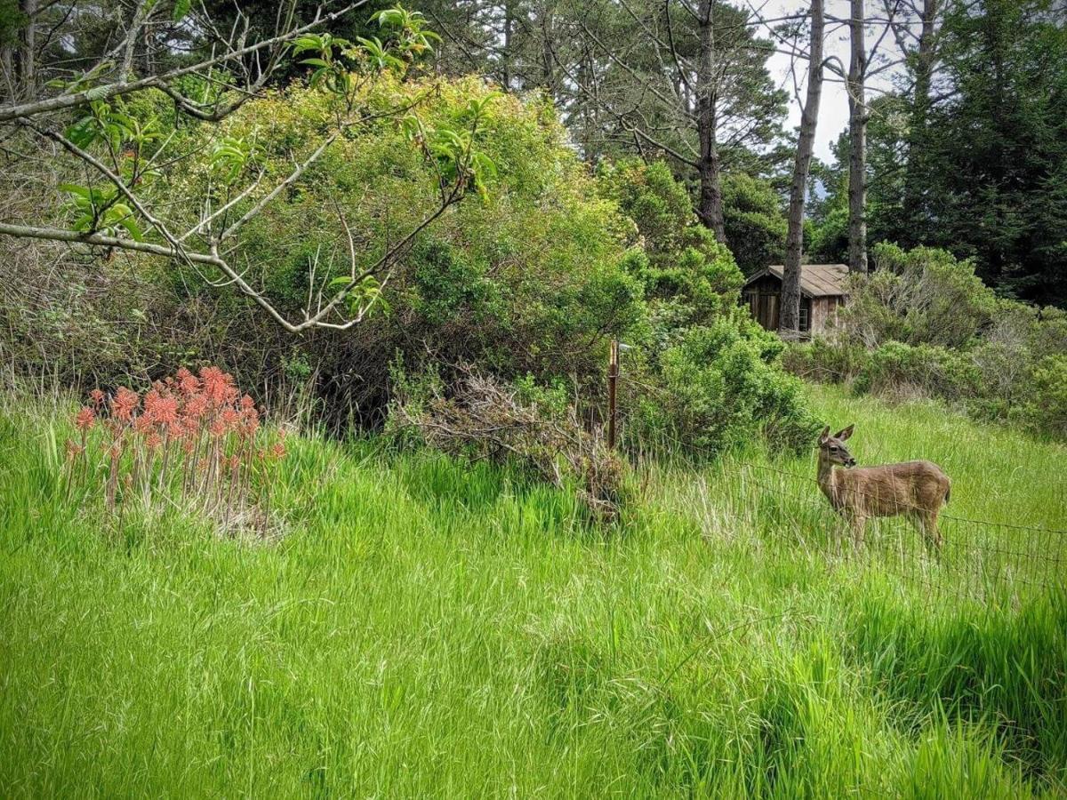 Villa The Quail'S Nest Retreat Point Reyes Station Exterior foto